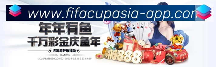 未来规划